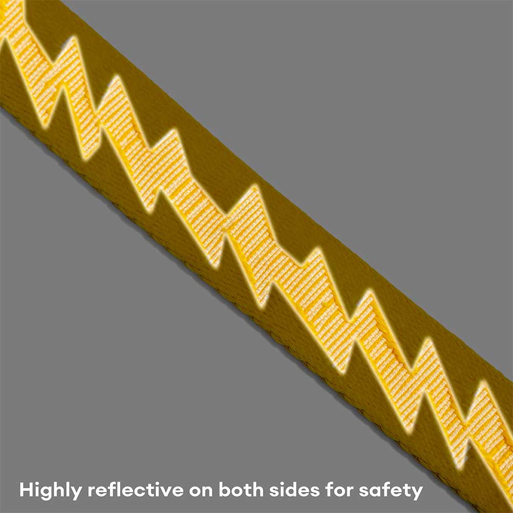 Correo de perros de nylon de mango suave versátil de doble lado de doble cara - Caminador flexible