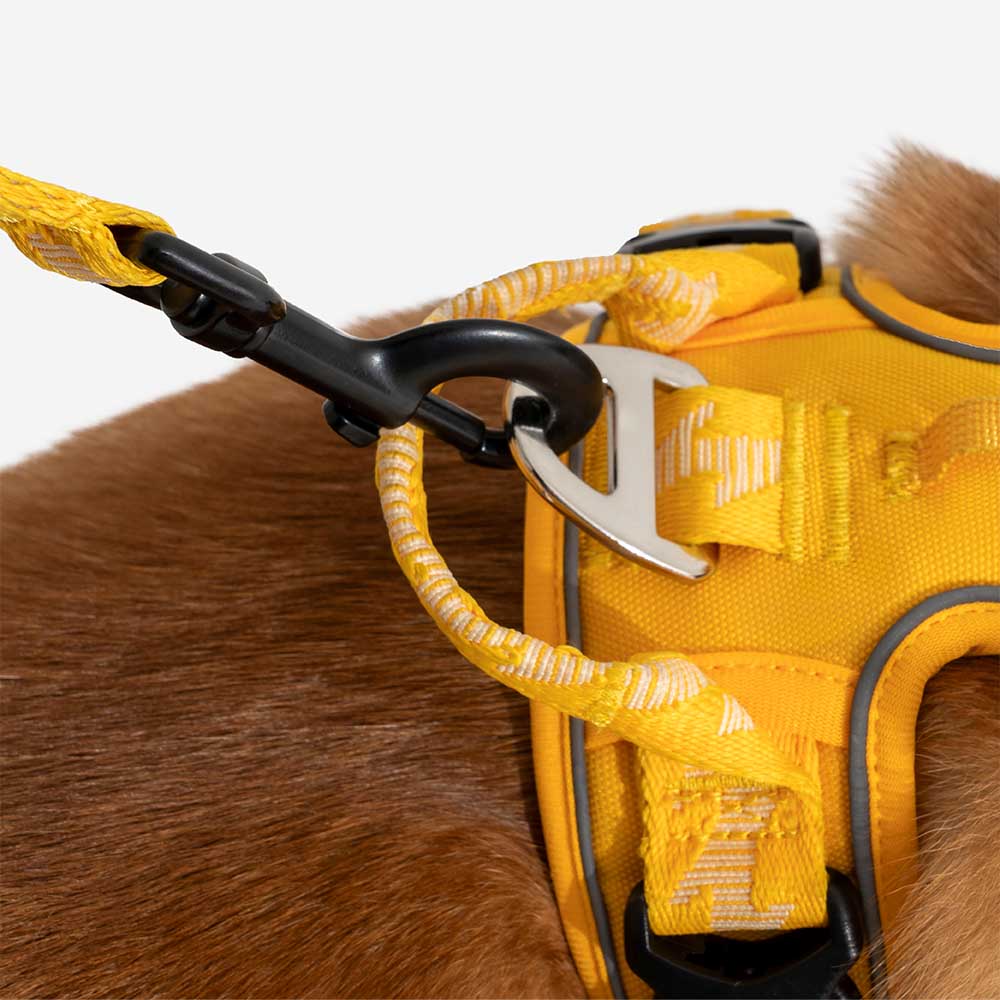 Correo de perros de nylon de mango suave versátil de doble lado de doble cara - Caminador flexible