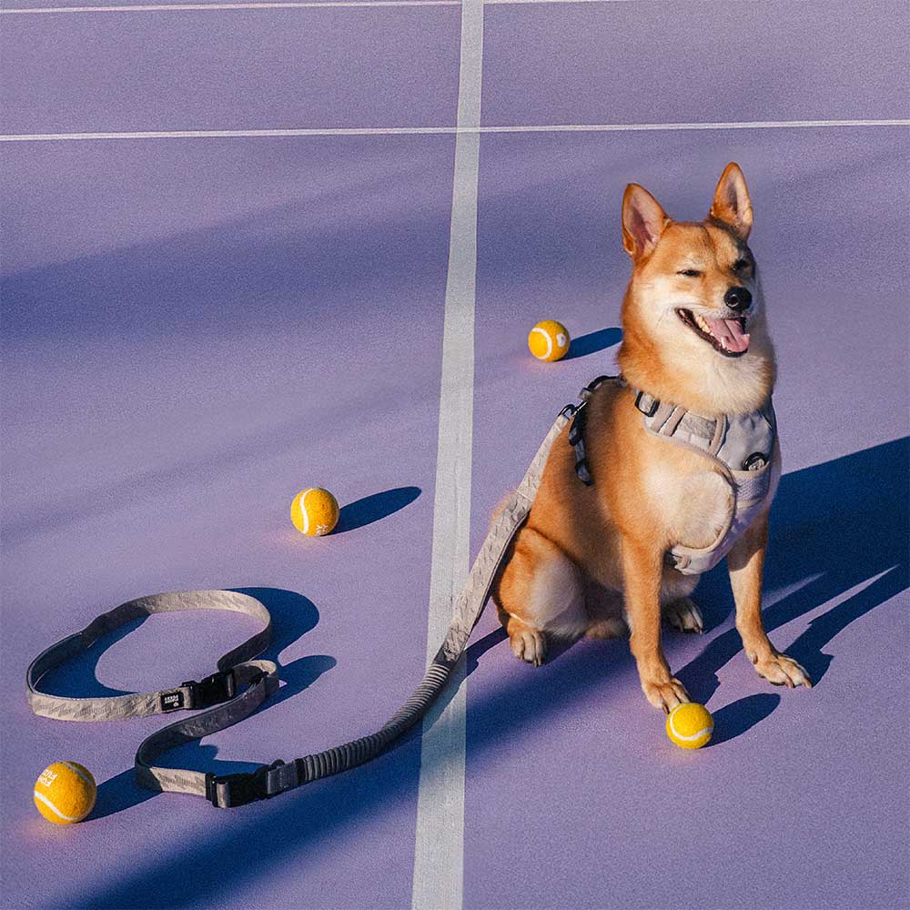 Correo de perros de nylon de mango suave versátil de doble lado de doble cara - Caminador flexible