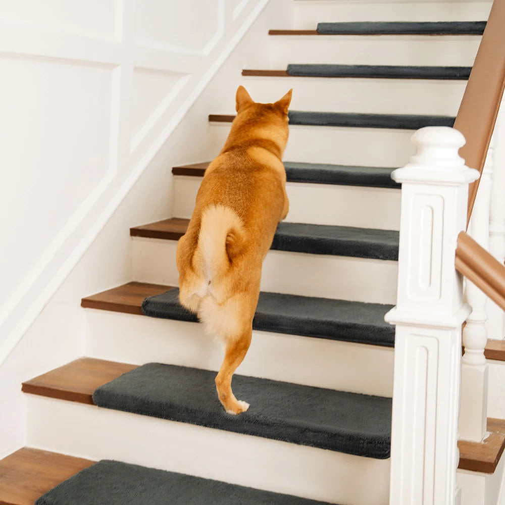 Sólido <tc>Color</tc> Protectores de escalera de felpa con cinta antideslizante y alfombras gratis