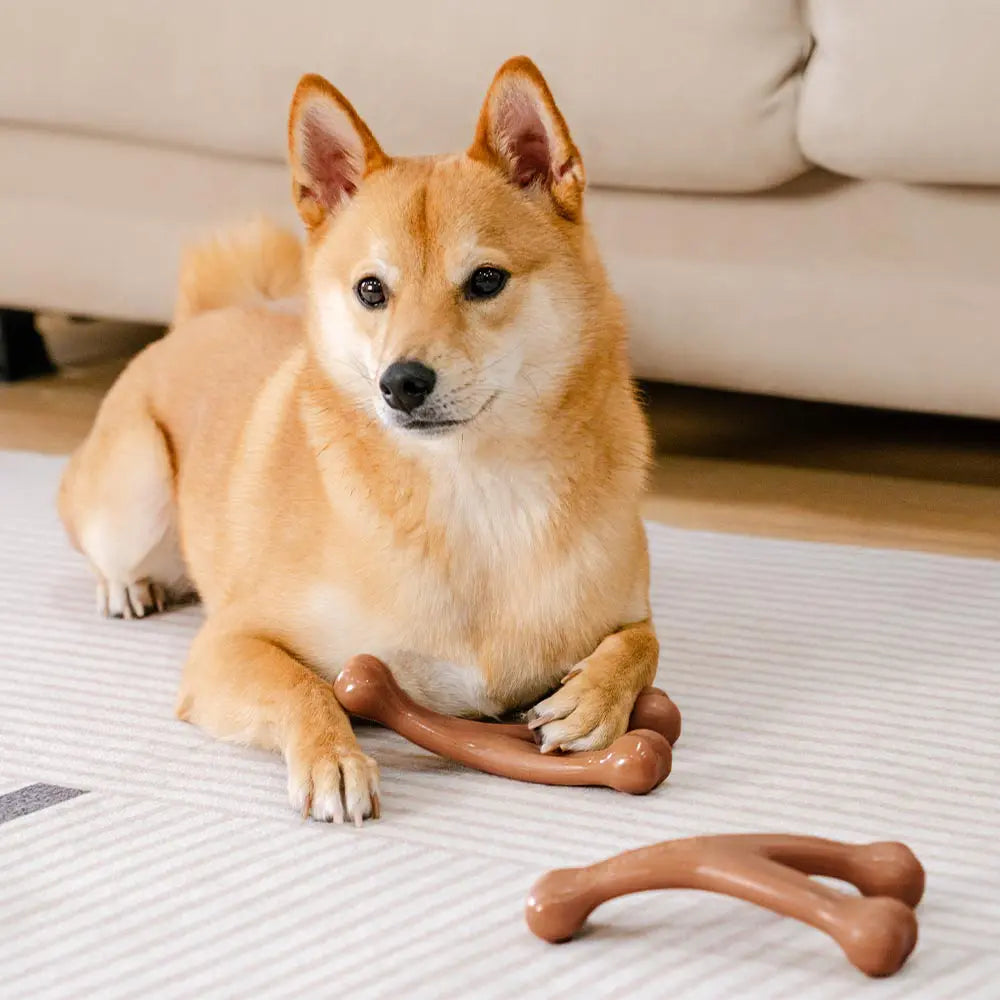 Zahnungsknochen-Kauspielzeug für Hunde – mit Speckgeschmack