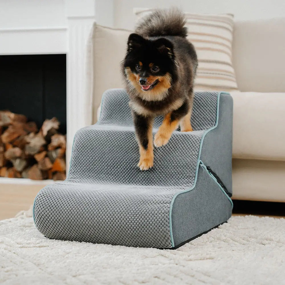 Multifunctional 2-in-1 Foldable Dog Stairs with Ramp Mode