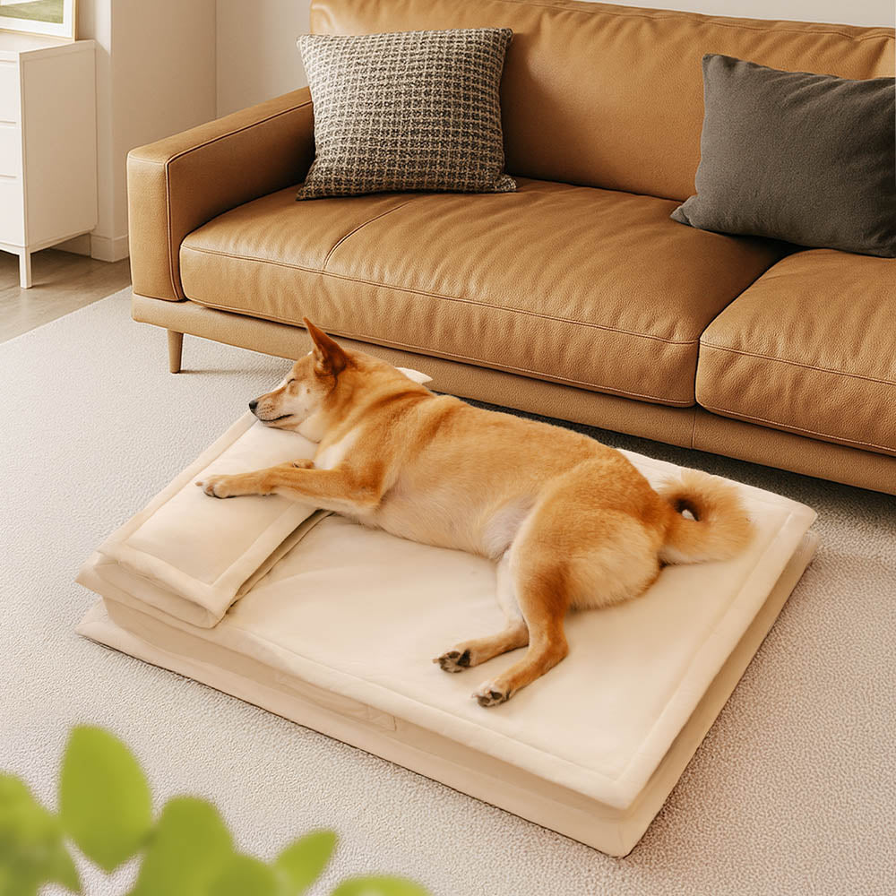 Anti-Anxiety with Sponge Support Deep Sleeping Dog Bed