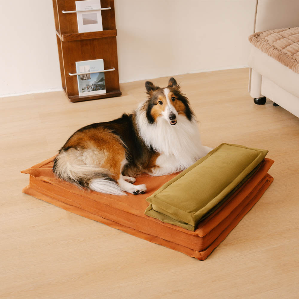 Anti-Anxiety with Sponge Support Deep Sleeping Dog Bed