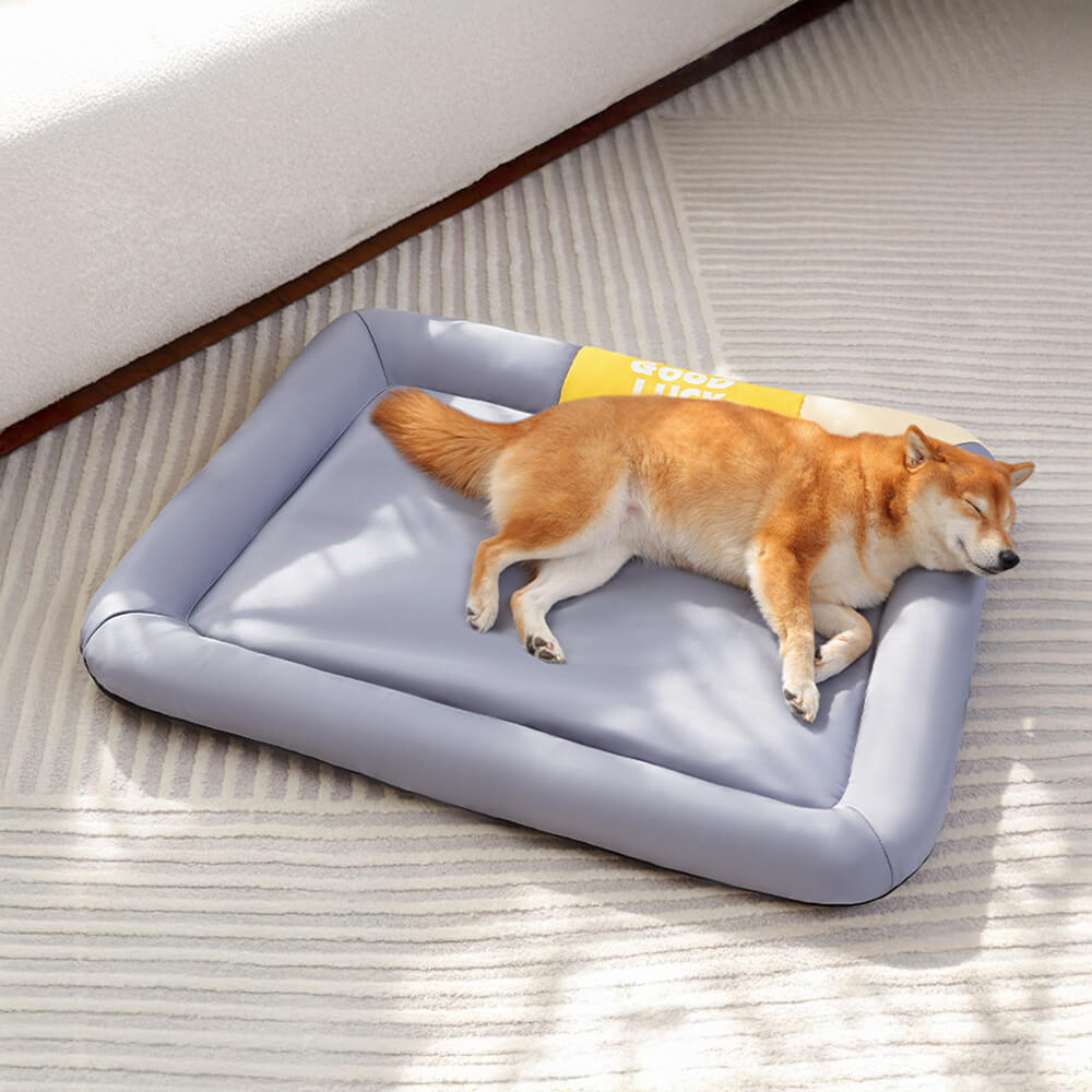 Colorblock Waterproof Scratch-Resistant All-Season Dog Mat