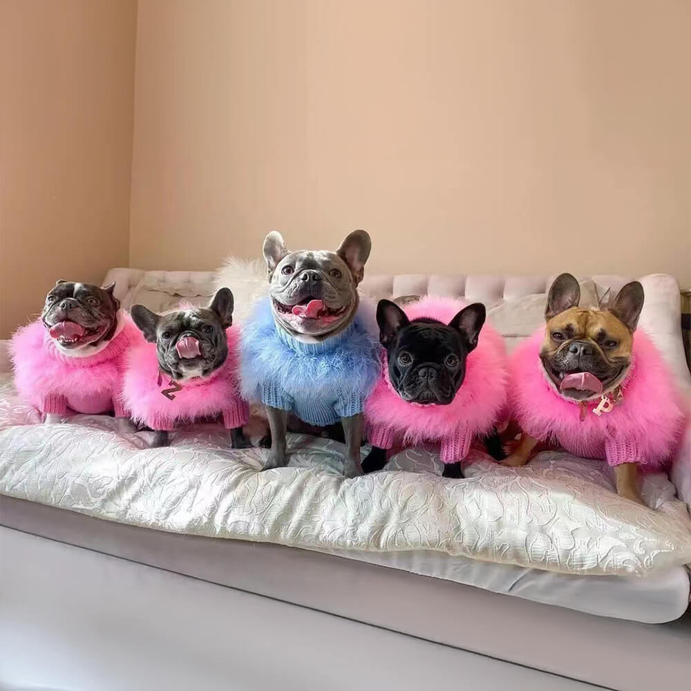 Suave moda esponjosa lujosa perra tortuga de tortuga suéter