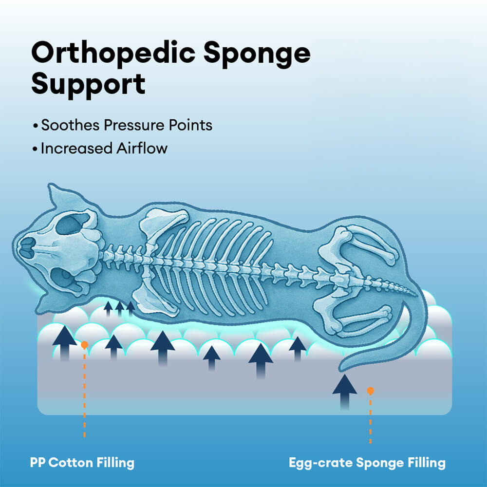 Waterproof Orthopedic Removable Memory Foam Large Dog Bed