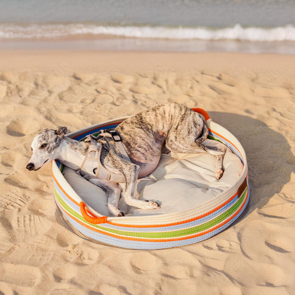 Handcrafted Stripe Calming Pet Bed - Timeless Nest