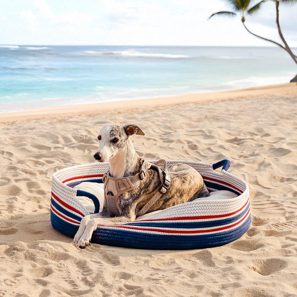 Handmade Lightweight Cotton Woven Beach Bag Pet Carrier- Summer Vacation