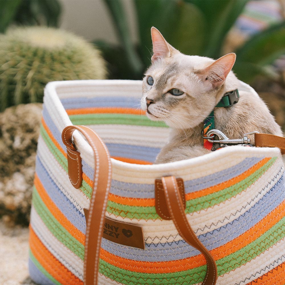 Handmade Lightweight Cotton Woven Beach Bag Pet Carrier- Summer Vacation