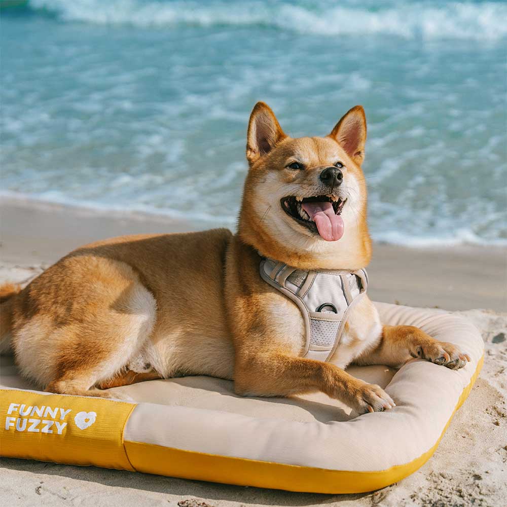 Outdoor Waterproof & Chew-proof Memory Foam Orthopedic Dog Mat - Trek Lounge