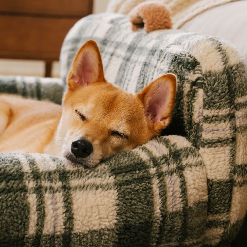 Camino de sofá de perros y gatos de soporte acogedor a cuadros vintage