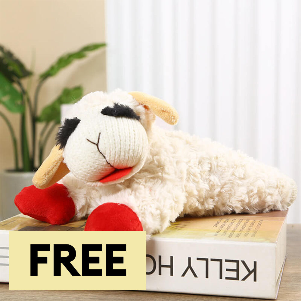 Plush Lamb Squeaker Toy Dog Interactive Toys