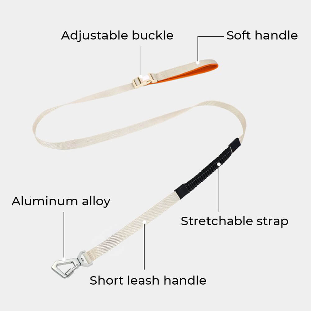 Arnés de perros anti-Pull transpirable para perros impermeable o correa multifuncional