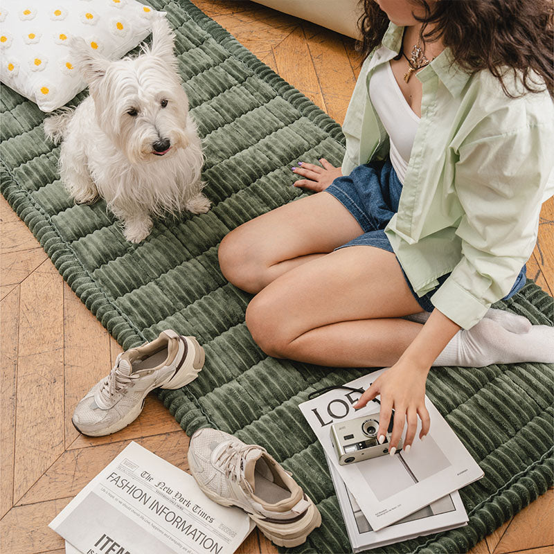 Lazy Soft Flannel Breathable Pet Mat Non-slip Couch Covers