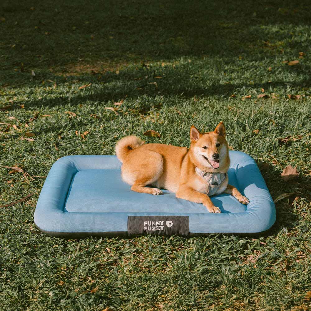 Outdoor Waterproof & Chew-proof Memory Foam Orthopedic Dog Mat - Trek Lounge