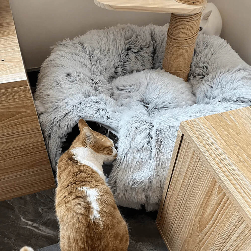 2 in 1 Foldable Indoor Soft Round Cat Tunnel Bed - FUNNYFUZZY