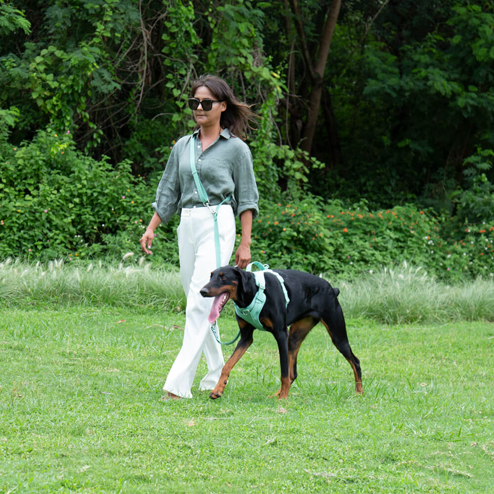 Gummy Dog Leash - FUNNYFUZZY