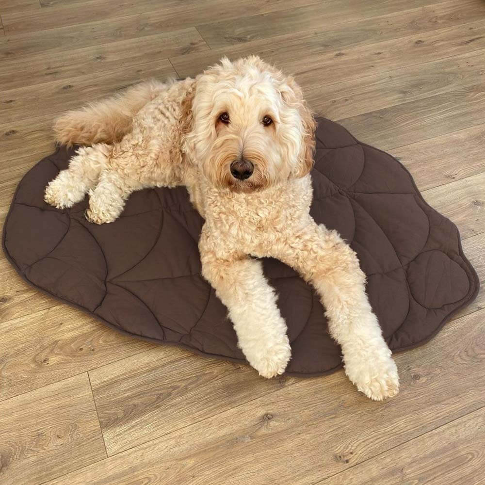 Leaf Shape Dog Blanket - FUNNYFUZZY