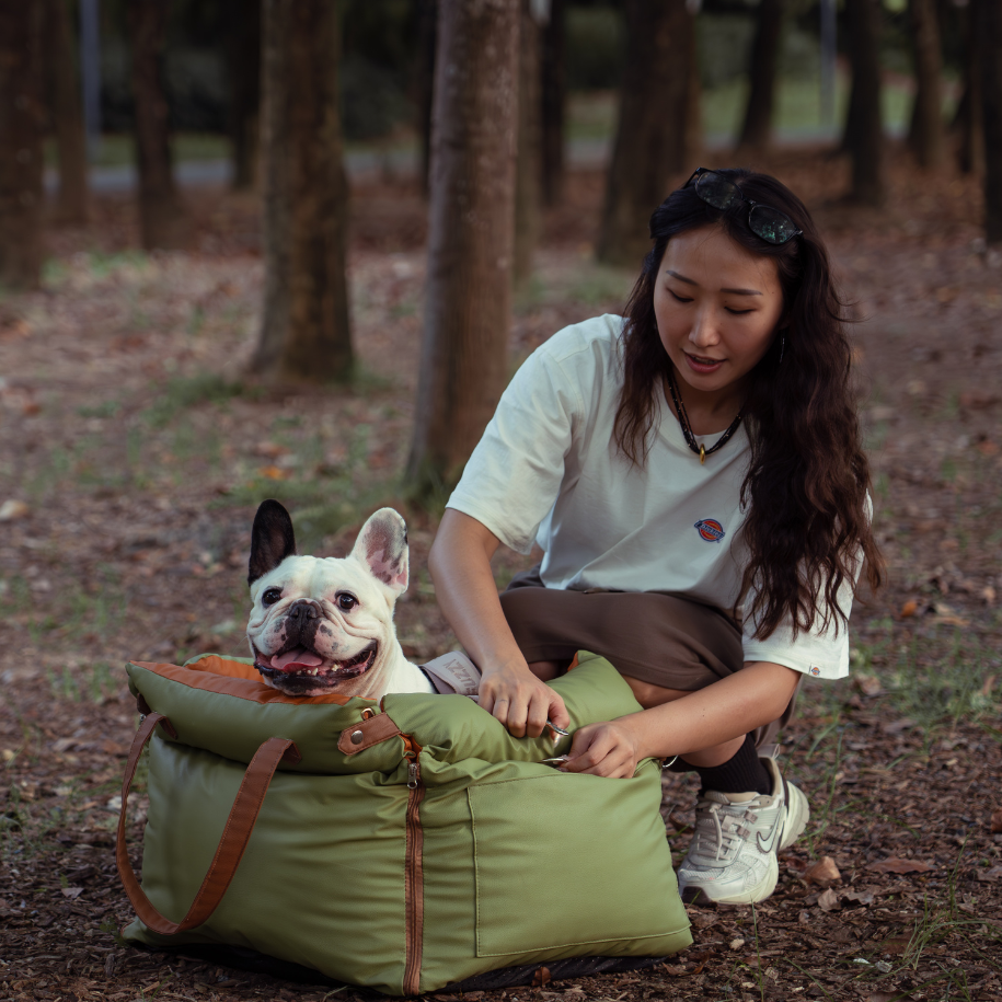 Best Dog Camping Gear for Your Next Outdoor Adventure with Your Furry Friend