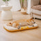 Outdoor Waterproof ＆ Chew-proof Memory Foam Orthopedic Dog Mat - Trek Lounge