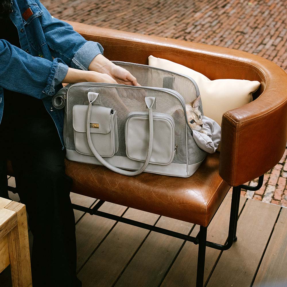 Lightweight Breathable Mesh Safe Pet Carrier - Urban Ease