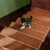Soft Plush Indoor Stair Protectors Pet Friendly Tape Free Carpet Stair Treads