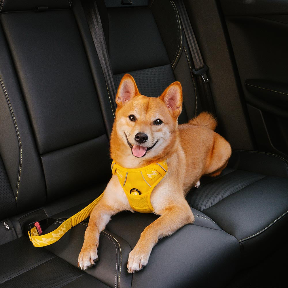 Car Seat Belt Buffer Adjustable Cool Dog Accessories - FUNNYFUZZY