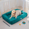 Fully Orthopedic Surround Support Waterproof Large Dog Bed