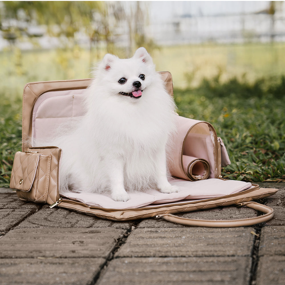Largante de transporte grande y elegante Bolsa de mascotas de viajes humanos multifuncionales-Tail errante