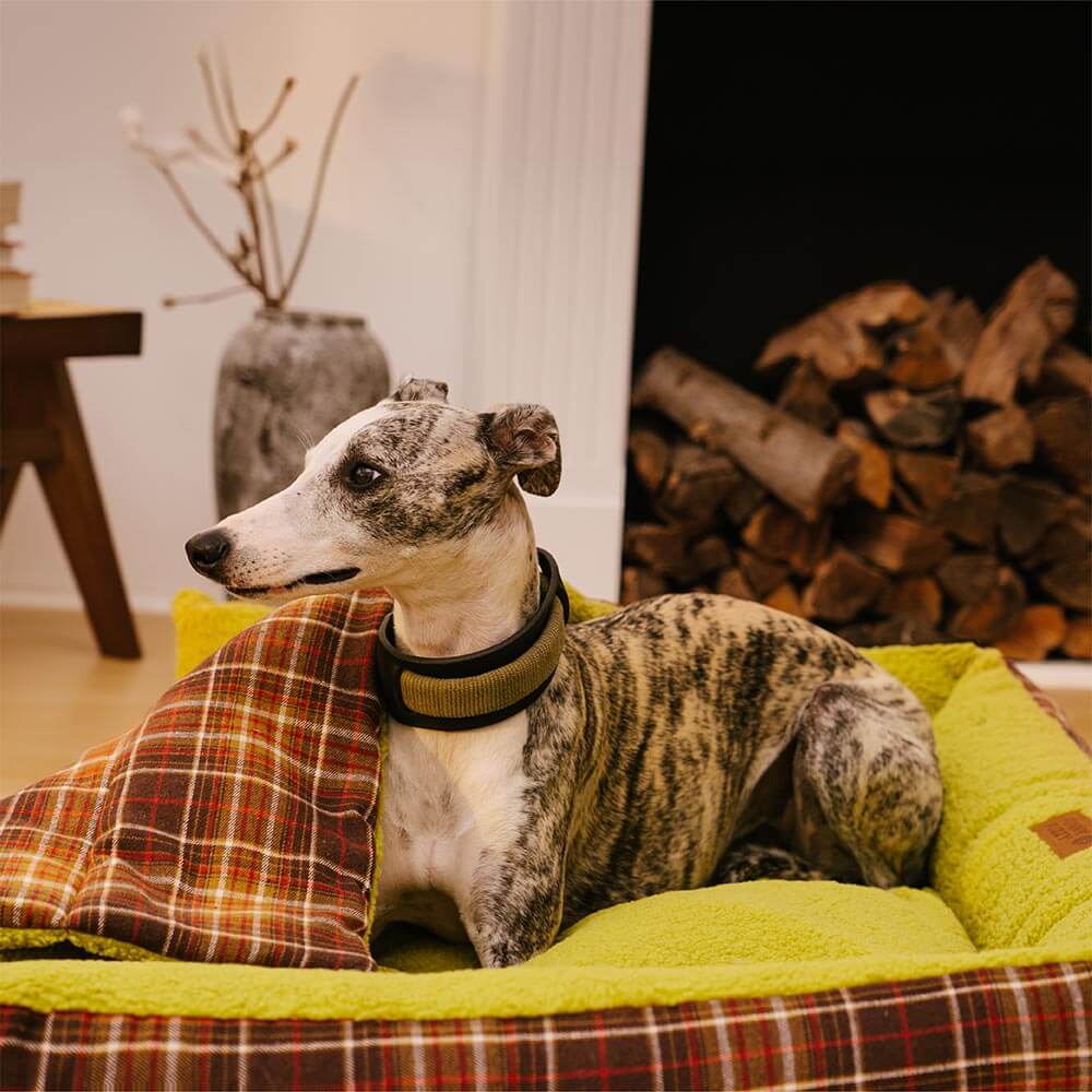 Grands lits pour chiens à couverture pliante en tartan vintage lavable - Avocuddle