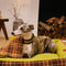 Grands lits pour chiens à couverture pliante en tartan vintage lavable - Avocuddle