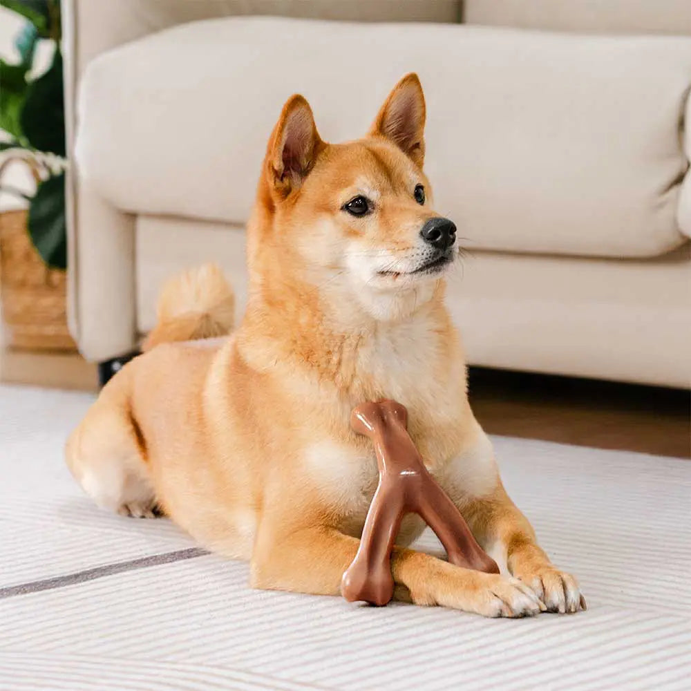 Jouet à mâcher pour chien, os de dentition, aromatisé au bacon