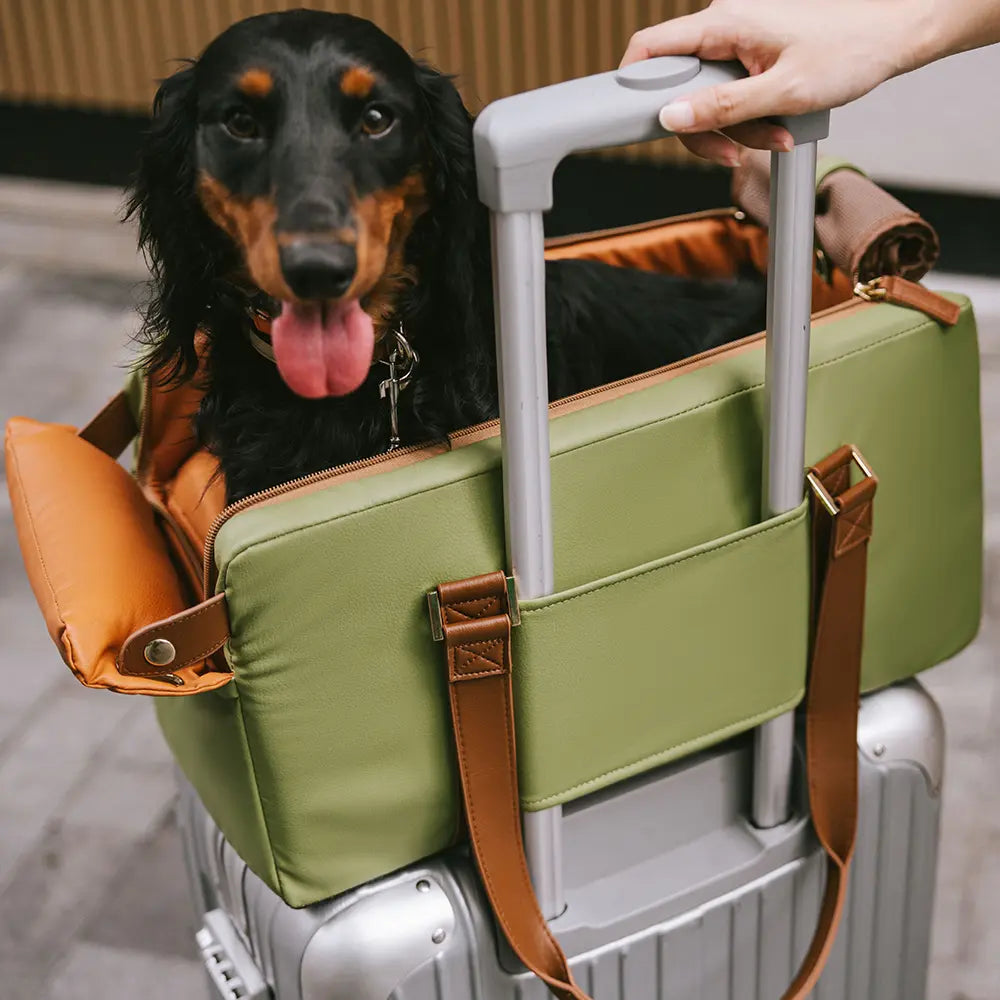 Asiento y transportista de la consola del centro de seguridad de cuero de cuero de lujo - Voyager Urban