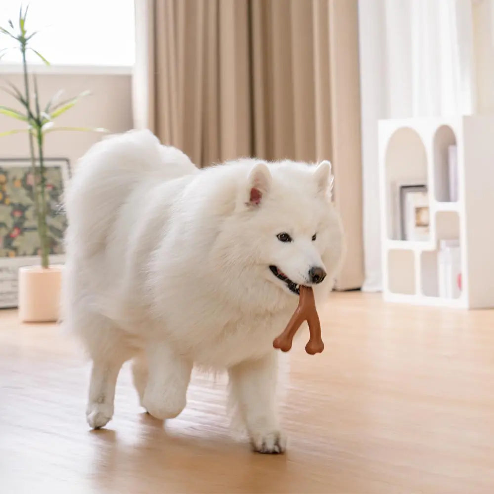 Jouet à mâcher pour chien, os de dentition, aromatisé au bacon