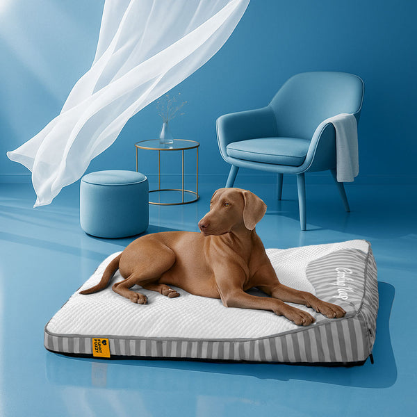Extra Large Cooling Washable Rectangle Orthopedic Dog Bed - Cooling Nap