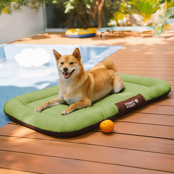 Outdoor Waterproof ＆ Chew-proof Memory Foam Orthopedic Dog Mat - Trek Lounge