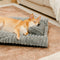 Plush Fluffy Thick Comfort Calming Dog Bed with Pillow