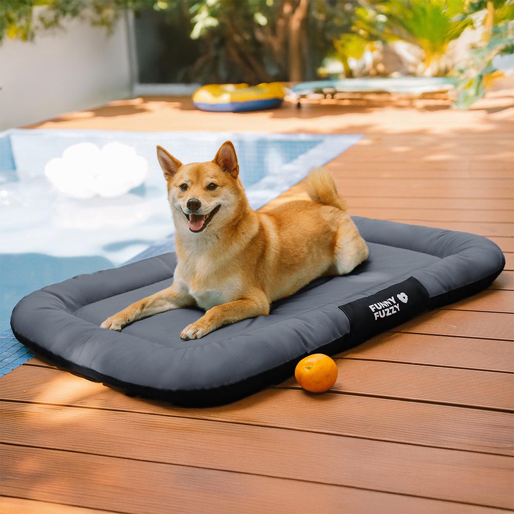 Outdoor Waterproof ＆ Chew-proof Memory Foam Orthopedic Dog Mat - Trek Lounge