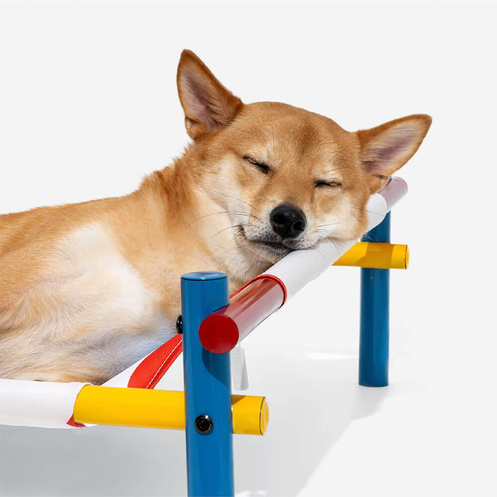 Erhöhtes Hundebett aus Aluminium im lebendigen Sommerdruck-Stil – Sommerparadies