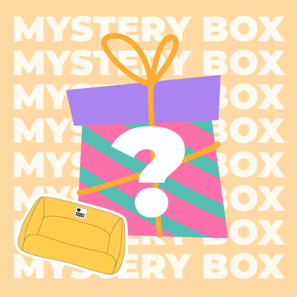 Kit de viaje seguro para perros dentro de 15 kg - $ 220 Valor Mystery Box