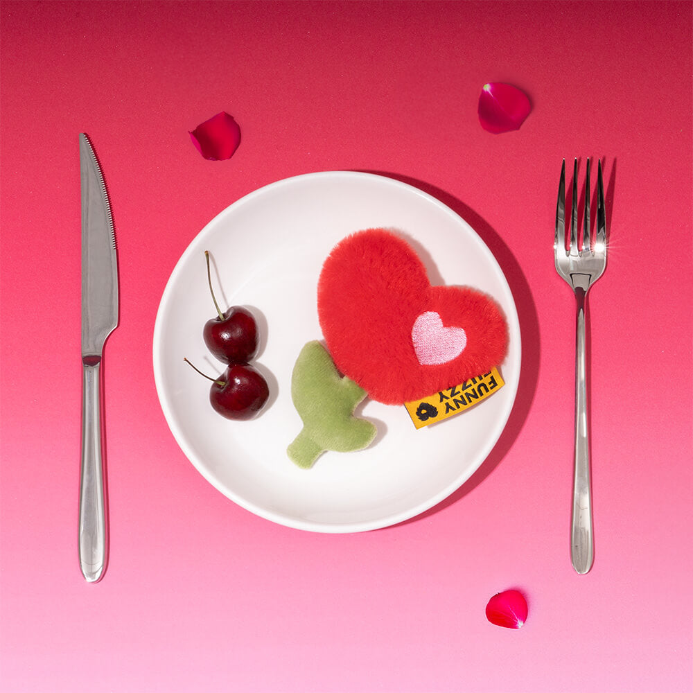 FUNNYFUZZY Plush Squeaky Dog Toy