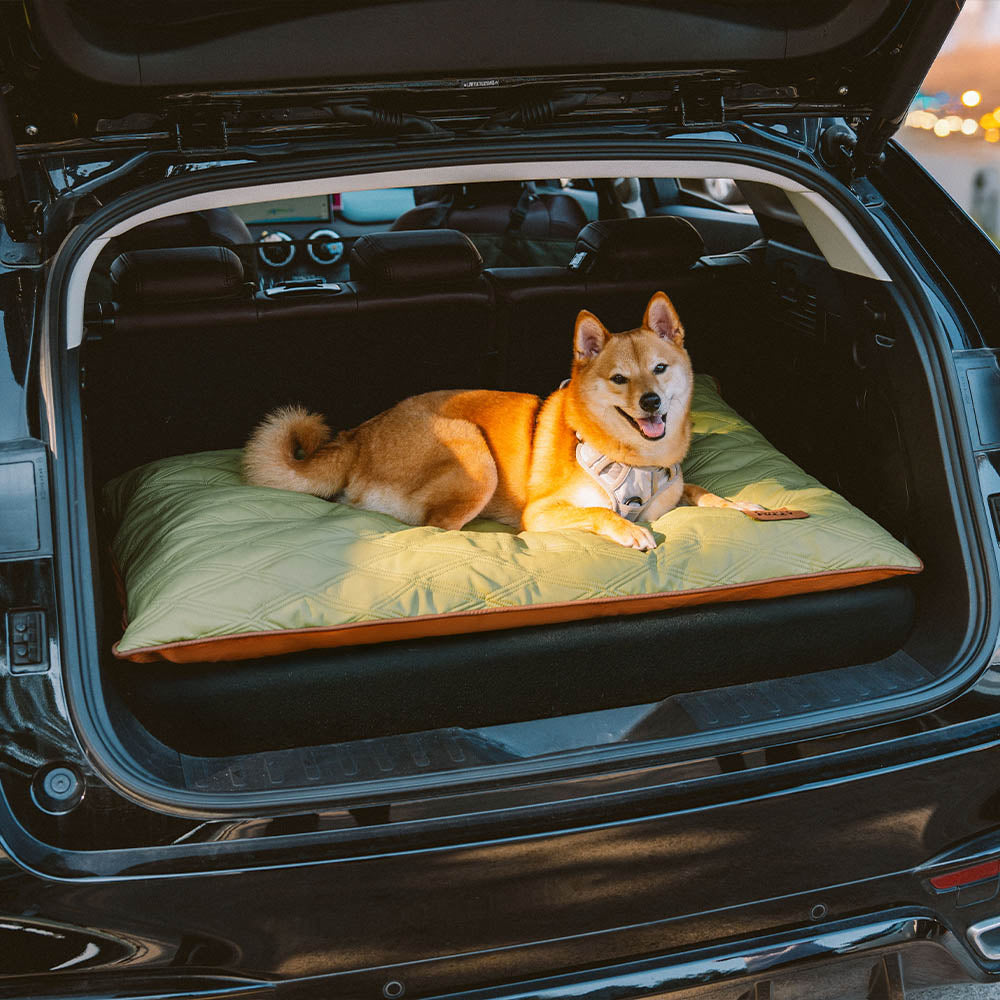 Luxury Water-repellent Dual-Sided Calming Dog Mat