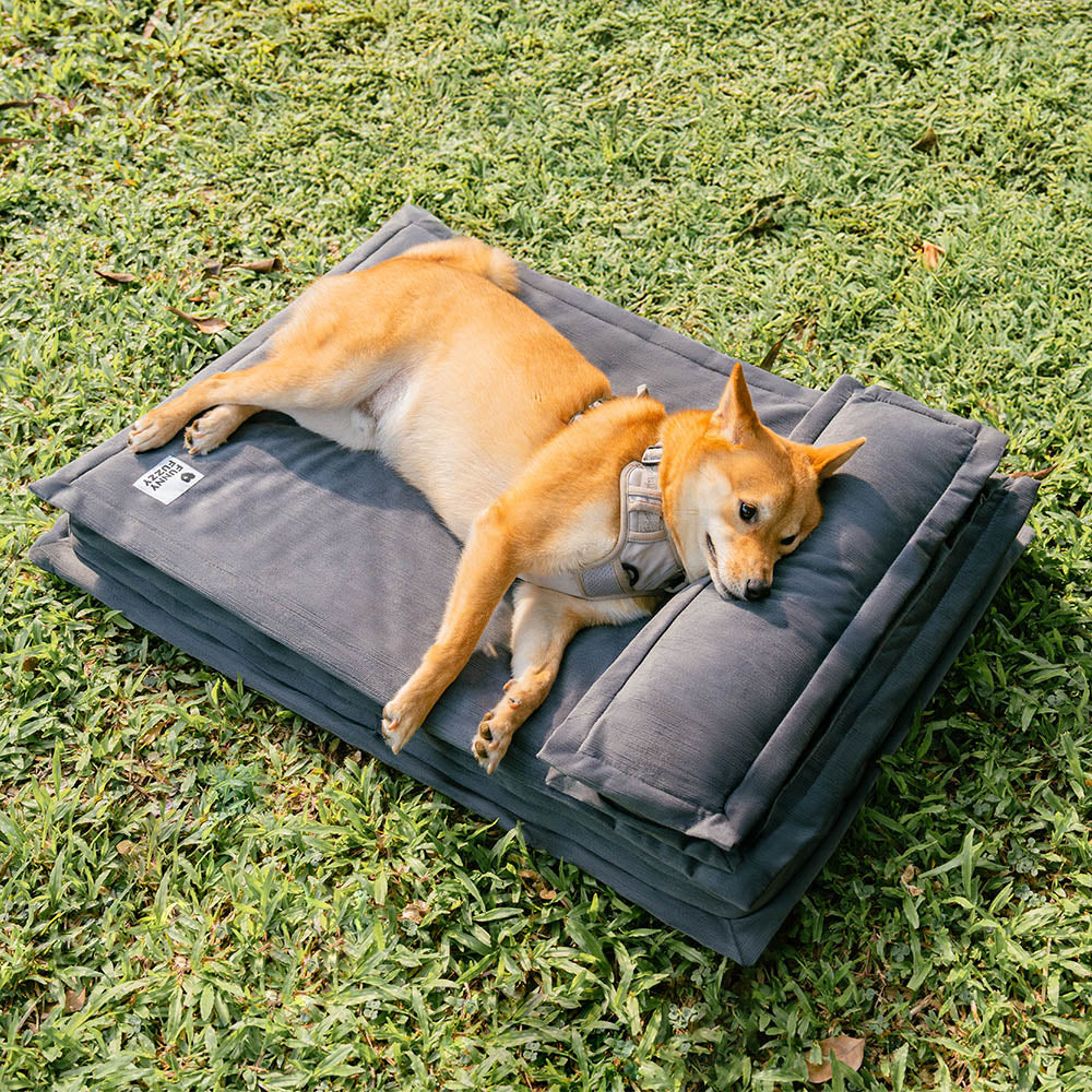Anti-Anxiety with Sponge Support Deep Sleeping Dog Bed