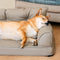 Luxe Faux Faux Leatht ortopedic ortopedic Bed de perros grande - Corelounge