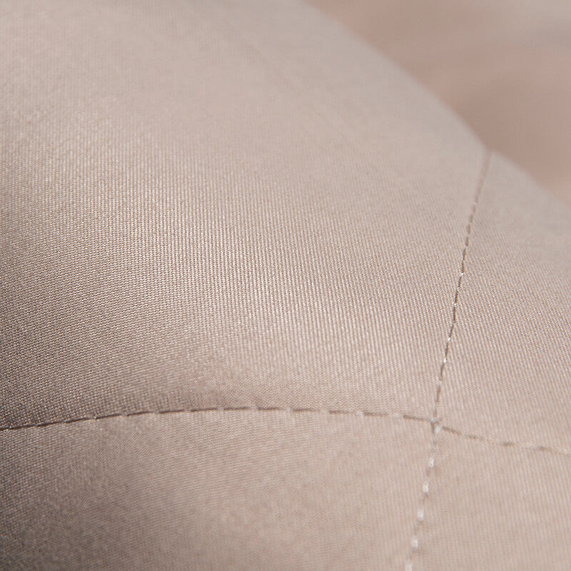 Protección contra el asiento trasero del asiento de seguridad para el automóvil del perro de viaje