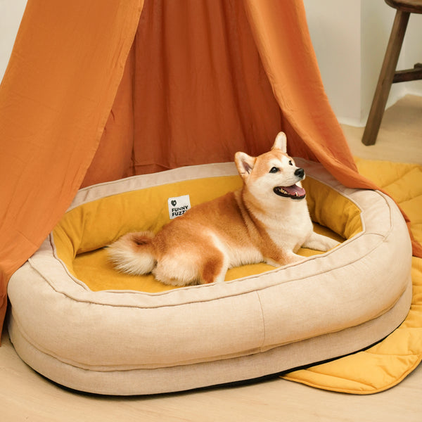 Dog Bed - Donut - FUNNYFUZZY