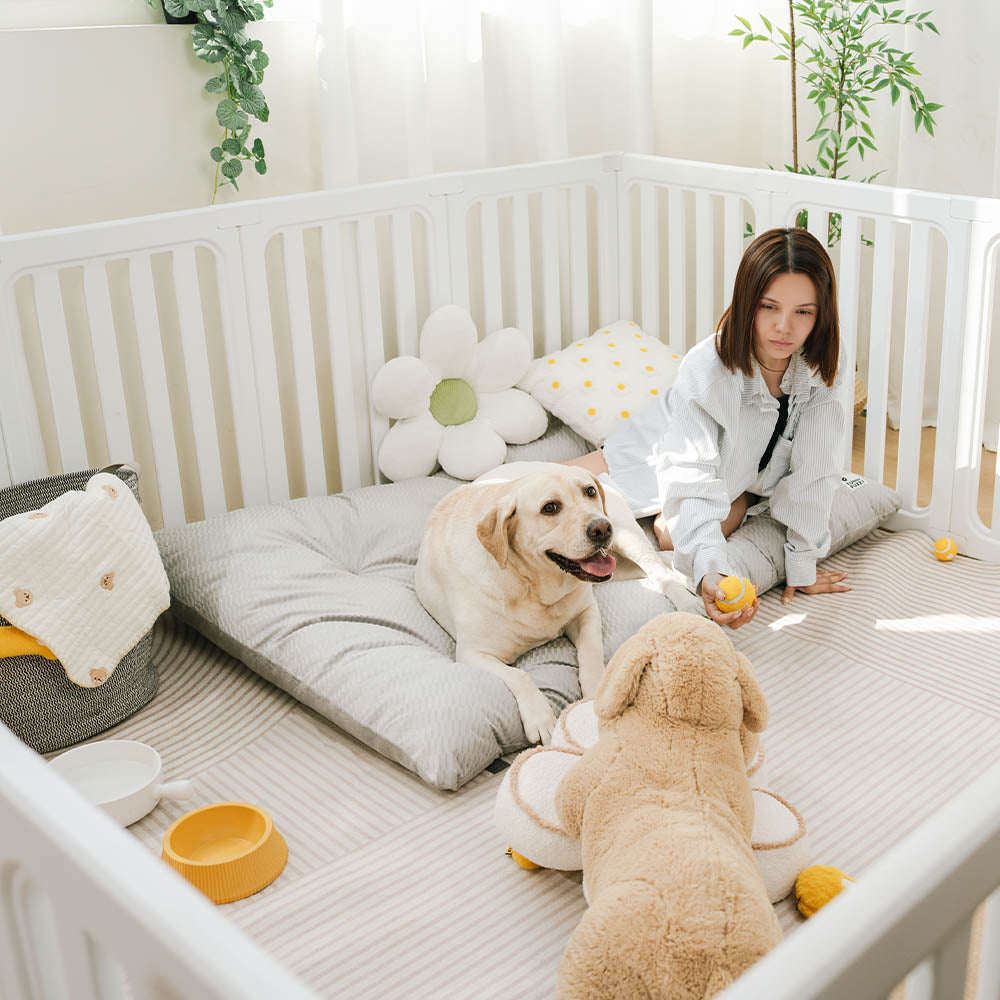 Alfombrillas para perros lavables de lujo de felpa de doble cara