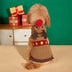 Christmas Thick Warm Turtleneck Dog Sweater Matching Socks For Pet And Owner