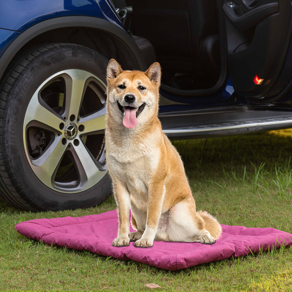 Outdoor Utility Style Waterproof Foldable Pet Mat for Car and Camping